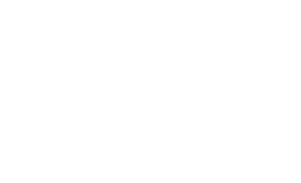 Chelmsford Lion