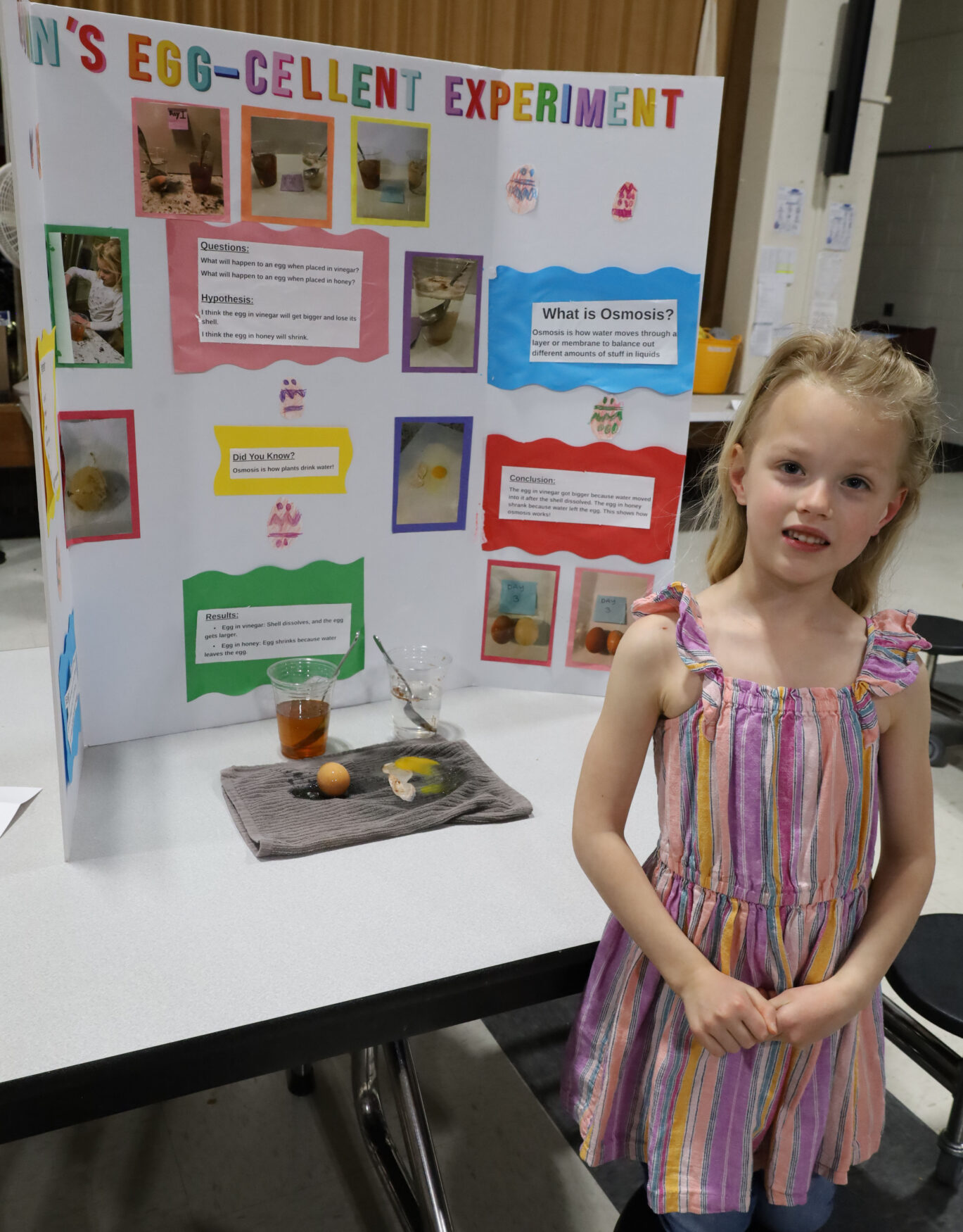 Harrington Elementary School hosted its annual STEAM Fair on Tuesday, April 15, featuring student projects, as well as crafts and activities.