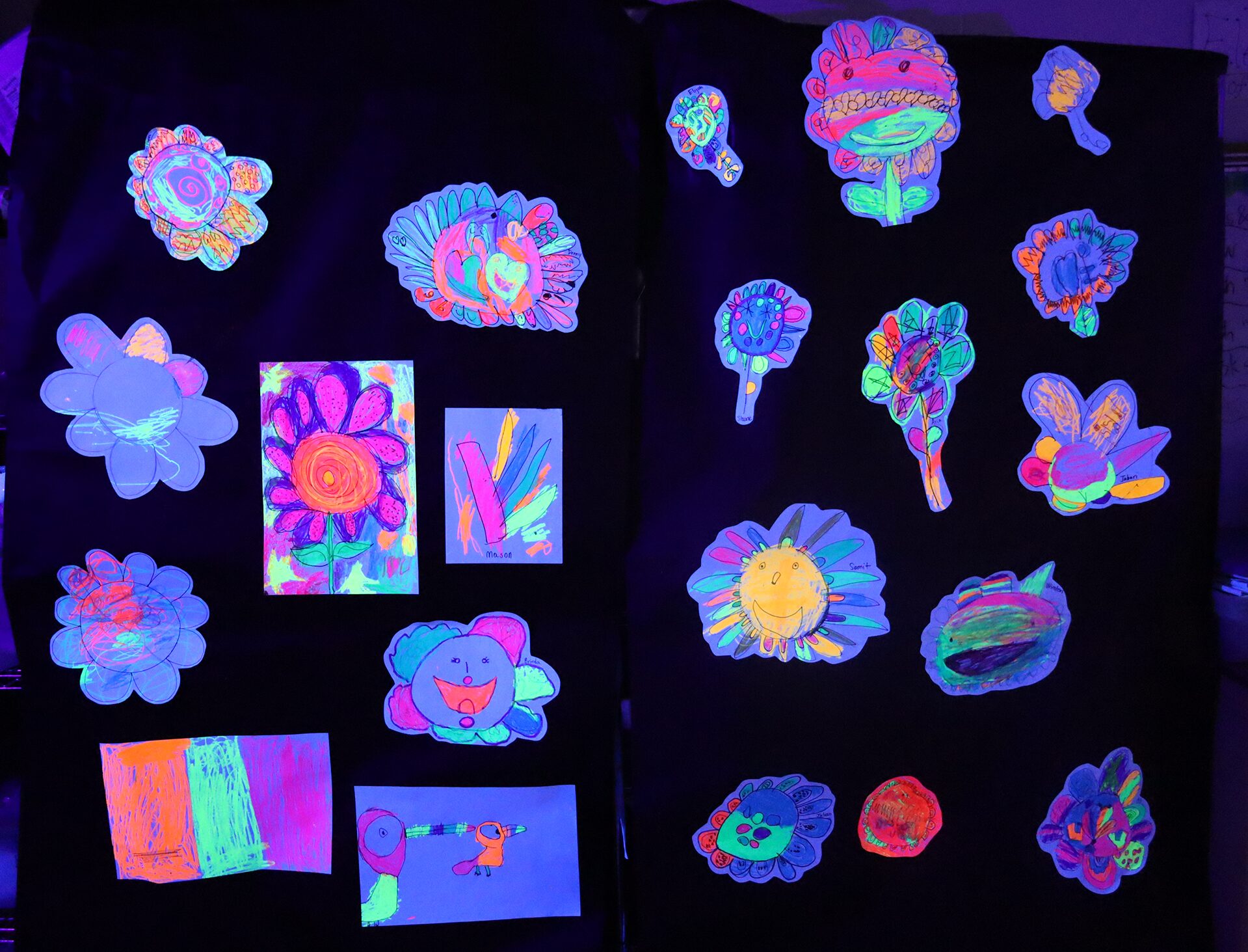 The art room at Harrington Elementary School was transformed into a glow-in-the-dark rainforest during the Celebration of the Arts event on Wednesday, May 22, 2026.