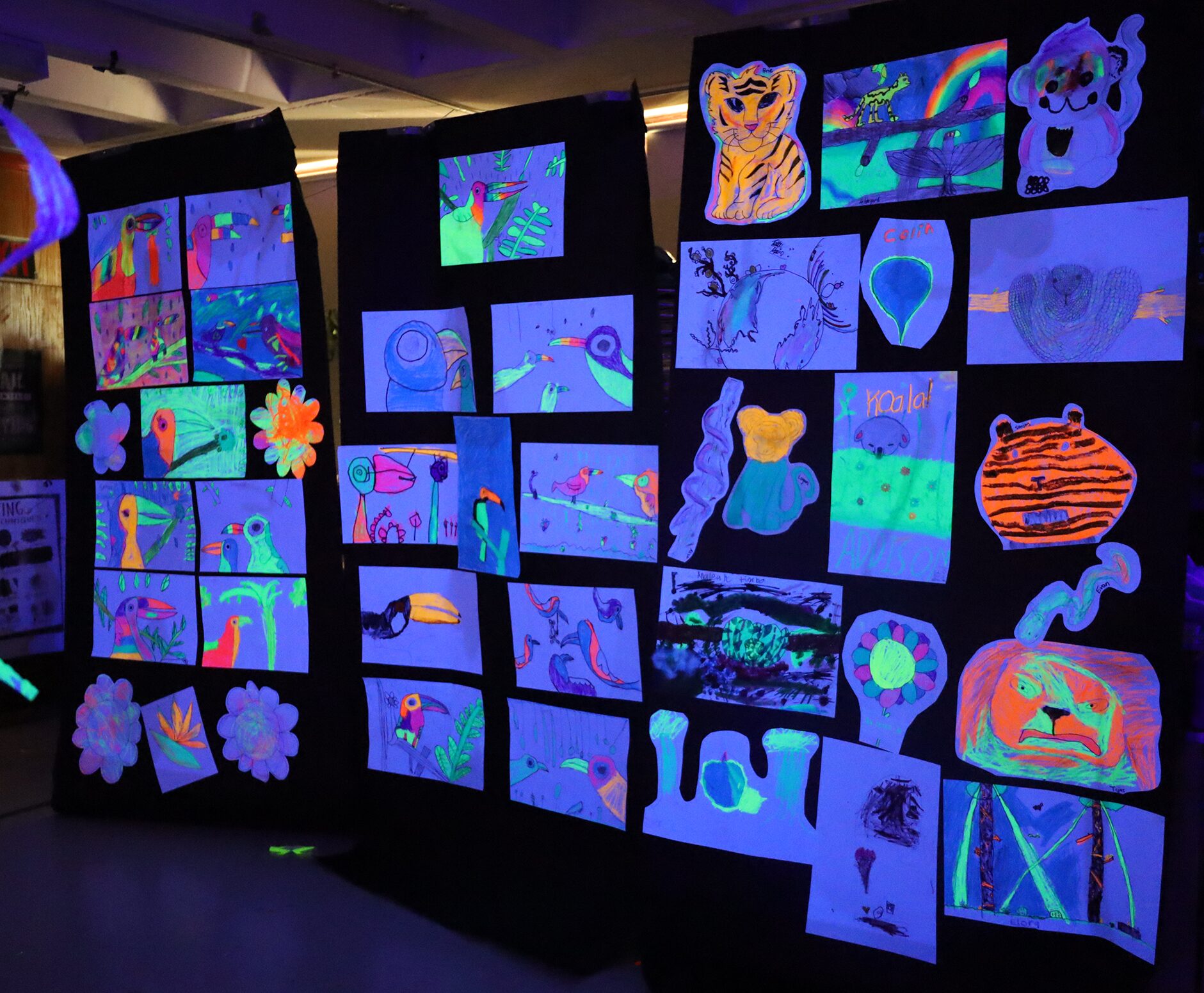 The art room at Harrington Elementary School was transformed into a glow-in-the-dark rainforest during the Celebration of the Arts event on Wednesday, May 22, 2026.