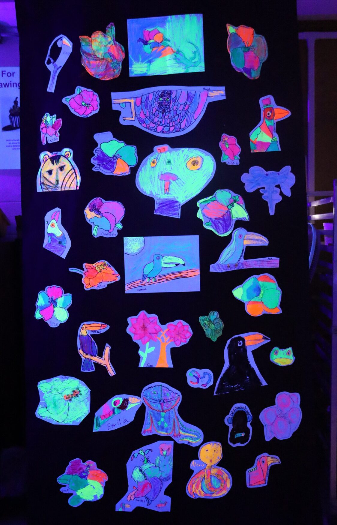 The art room at Harrington Elementary School was transformed into a glow-in-the-dark rainforest during the Celebration of the Arts event on Wednesday, May 22, 2026.