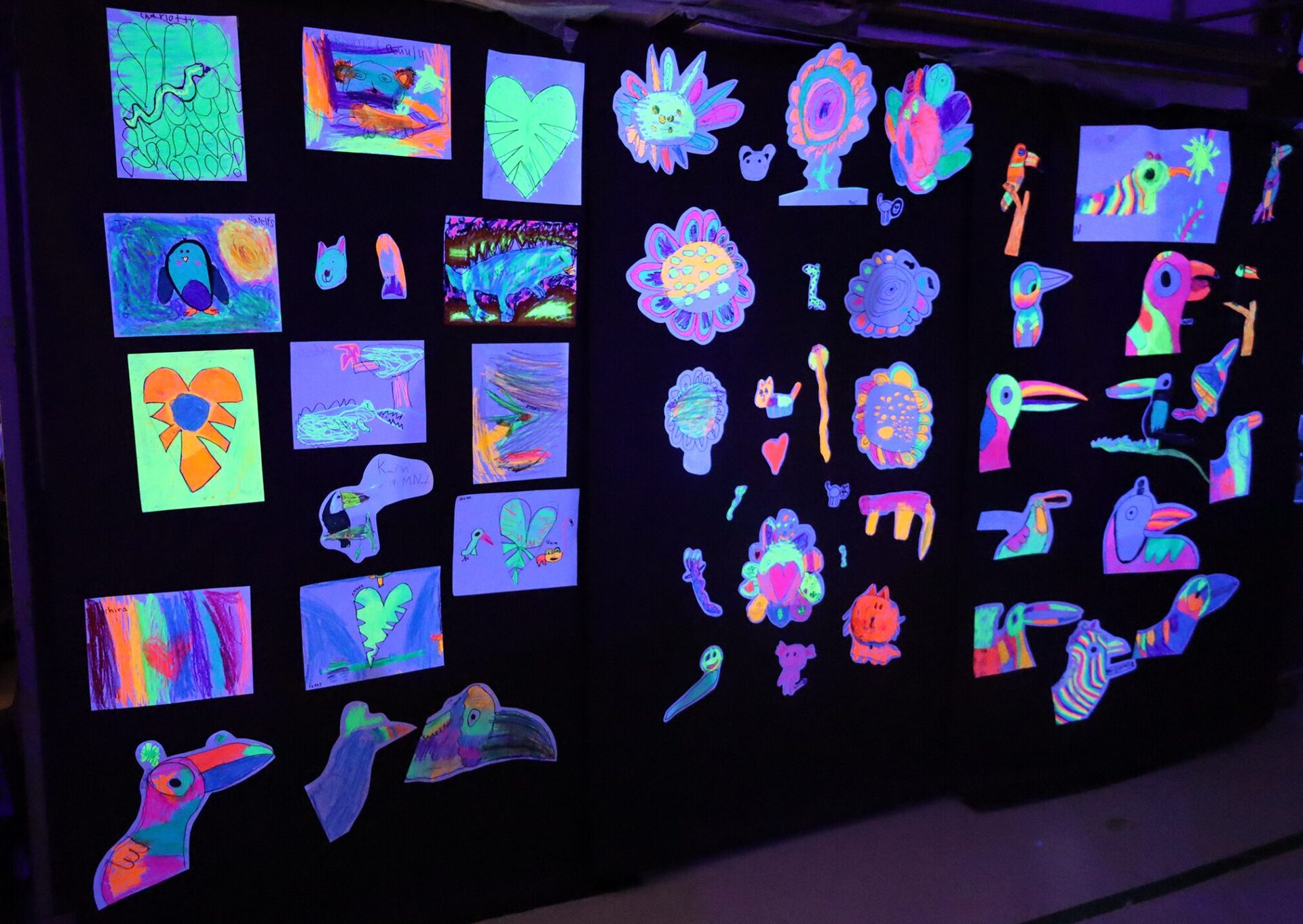 The art room at Harrington Elementary School was transformed into a glow-in-the-dark rainforest during the Celebration of the Arts event on Wednesday, May 22, 2026.